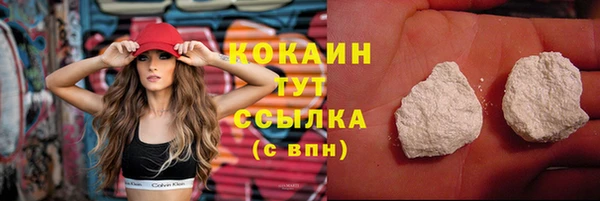 кокс Арсеньев