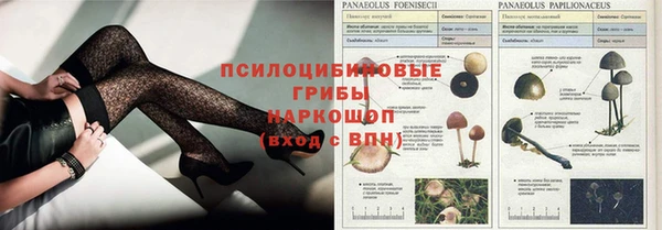 тгк Балахна