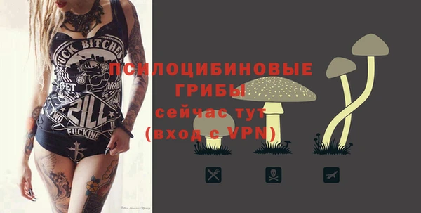 тгк Балахна