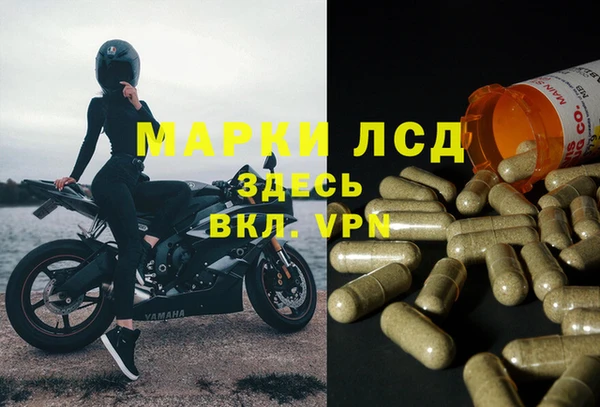 кокс Арсеньев