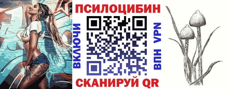 Псилоцибиновые грибы Cubensis  наркота  даркнет Telegram  Вихоревка 